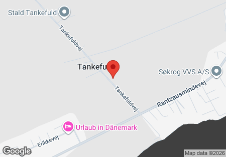 Tankefuldvej 30 Svendborg